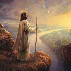 Meet your Posher, Norma